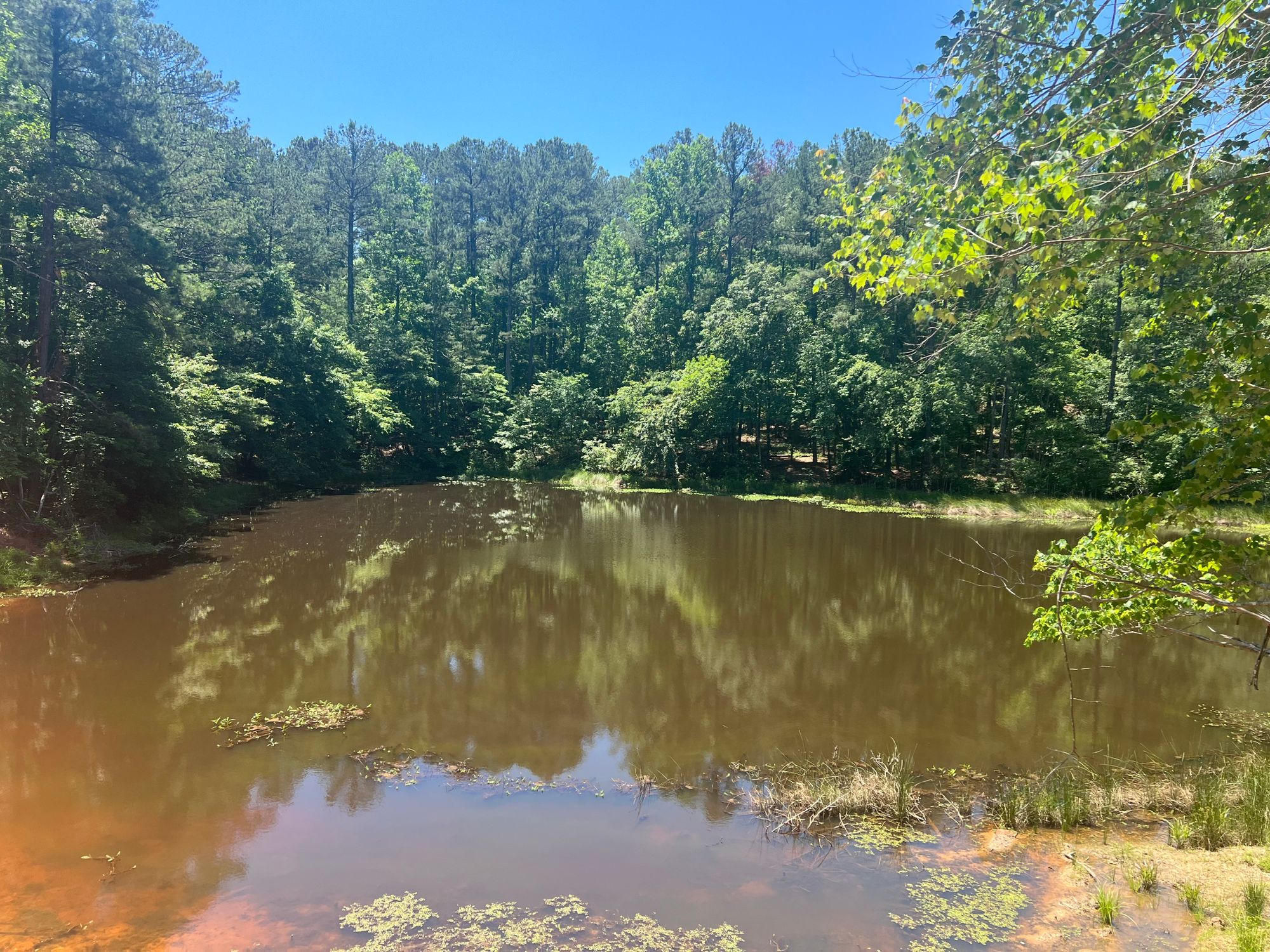 70.52 Acres Butner Road