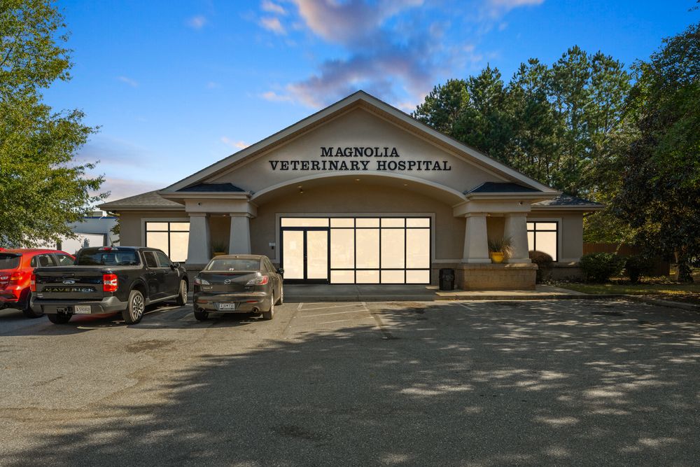 Magnolia Veterinary Hospital