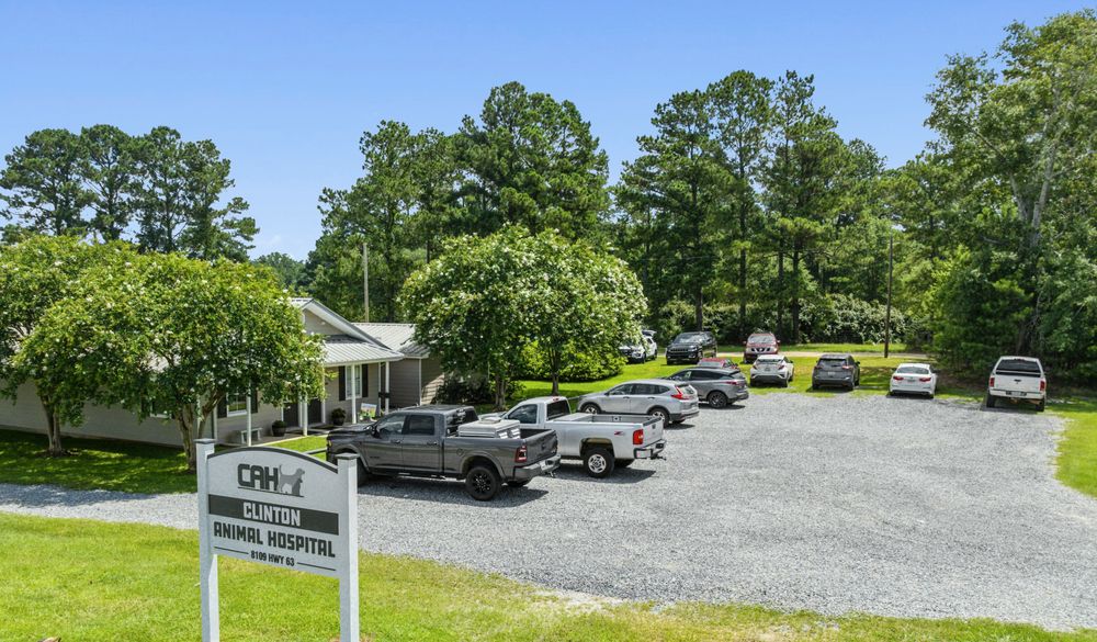 Clinton Animal Hospital