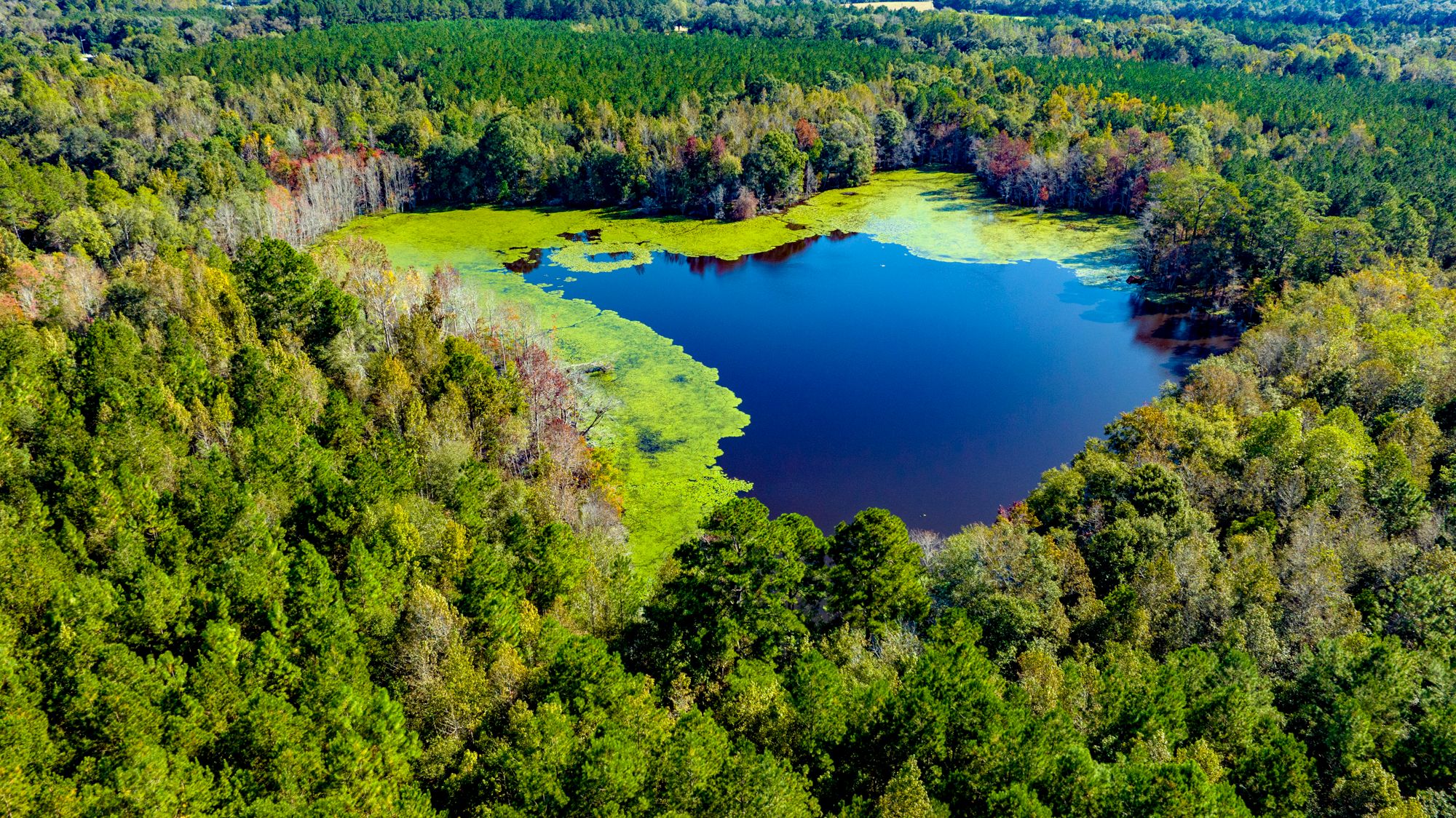 Land for Sale - Saunders Real Estate