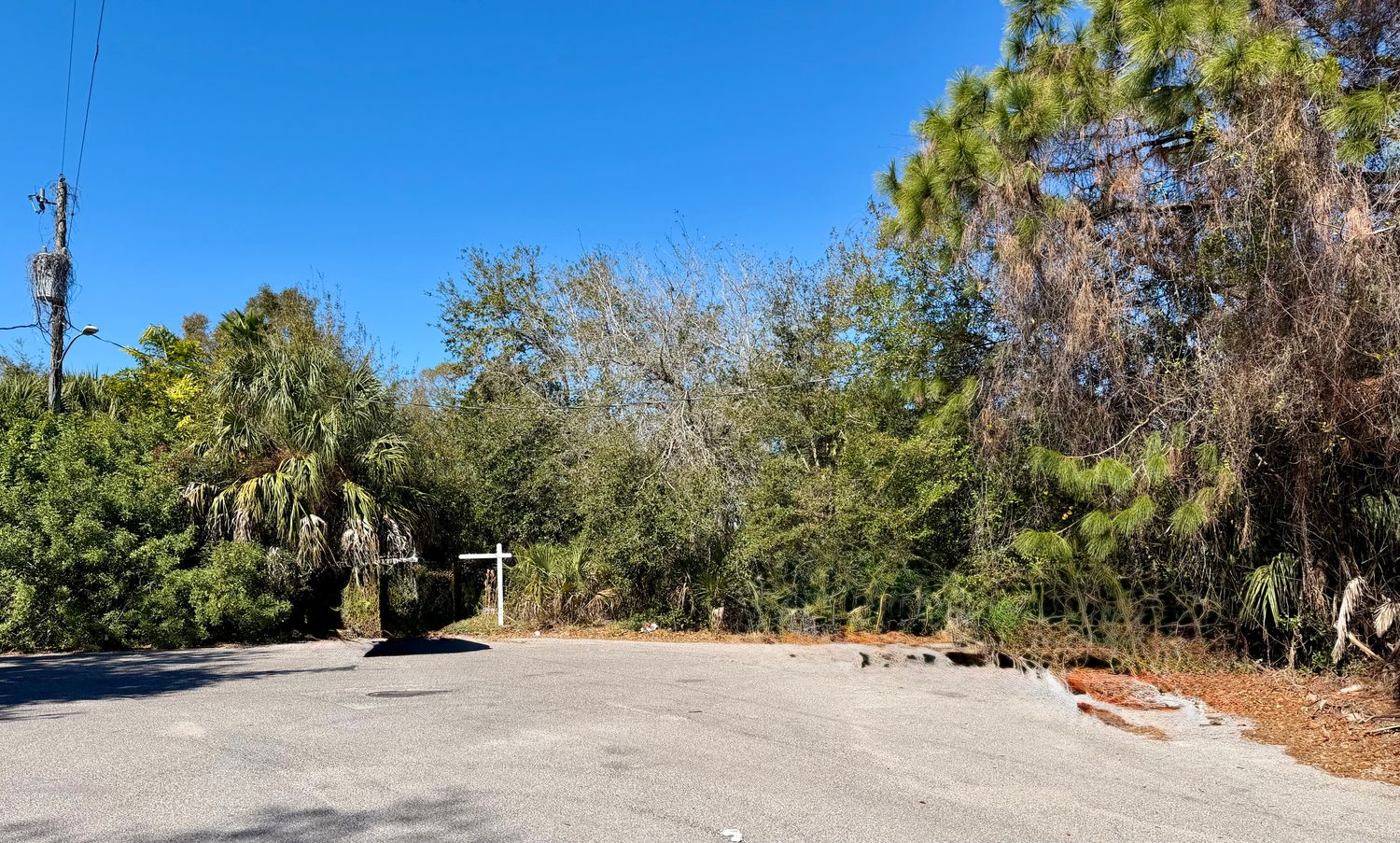 905 Royal Palm Drive Sarasota FL 34234