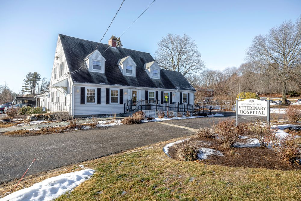 Lexington-Bedford Veterinary Hospital