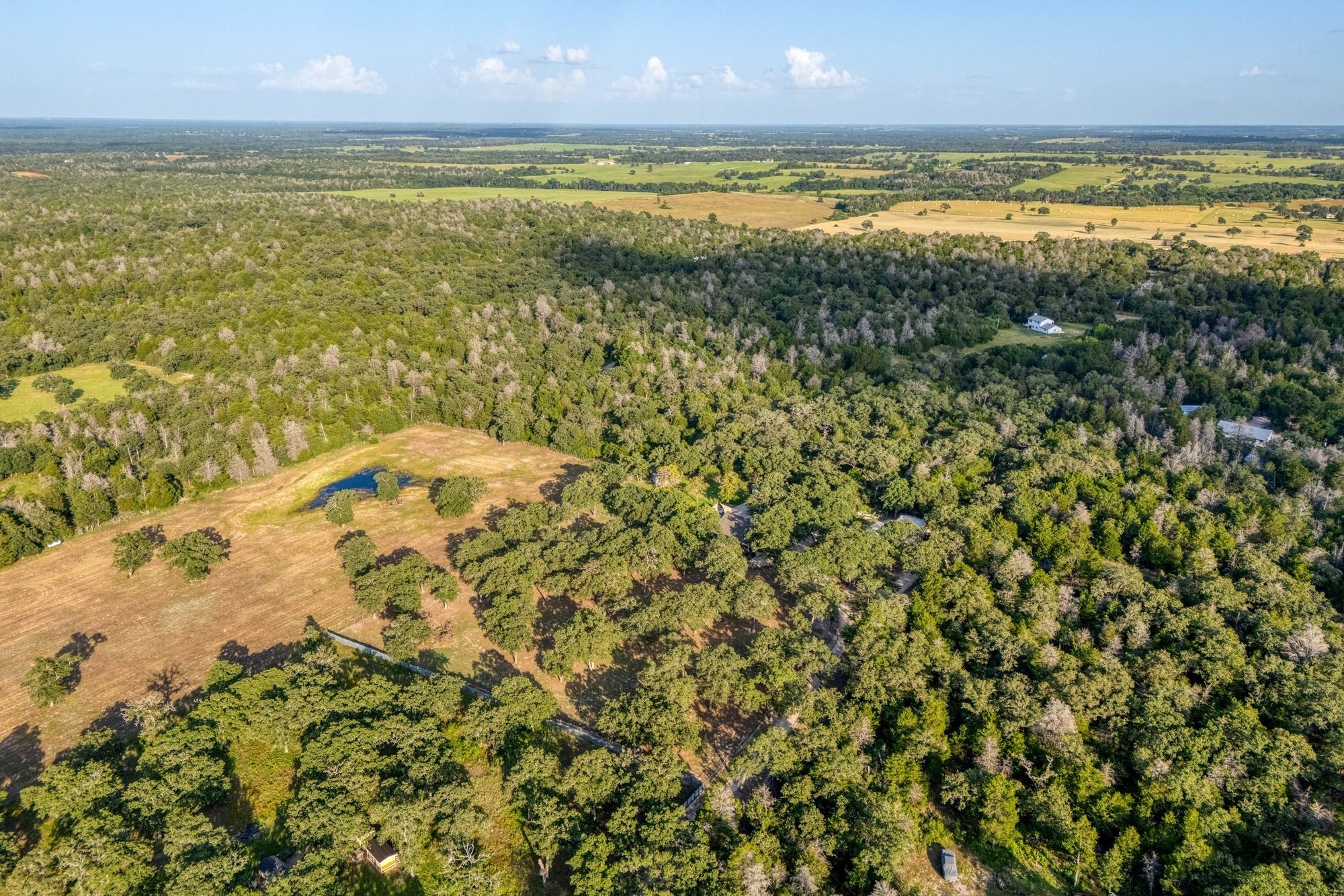 Special Purpose for sale at 1474 County Road B, Lexington, TX, 78947 — photo 2