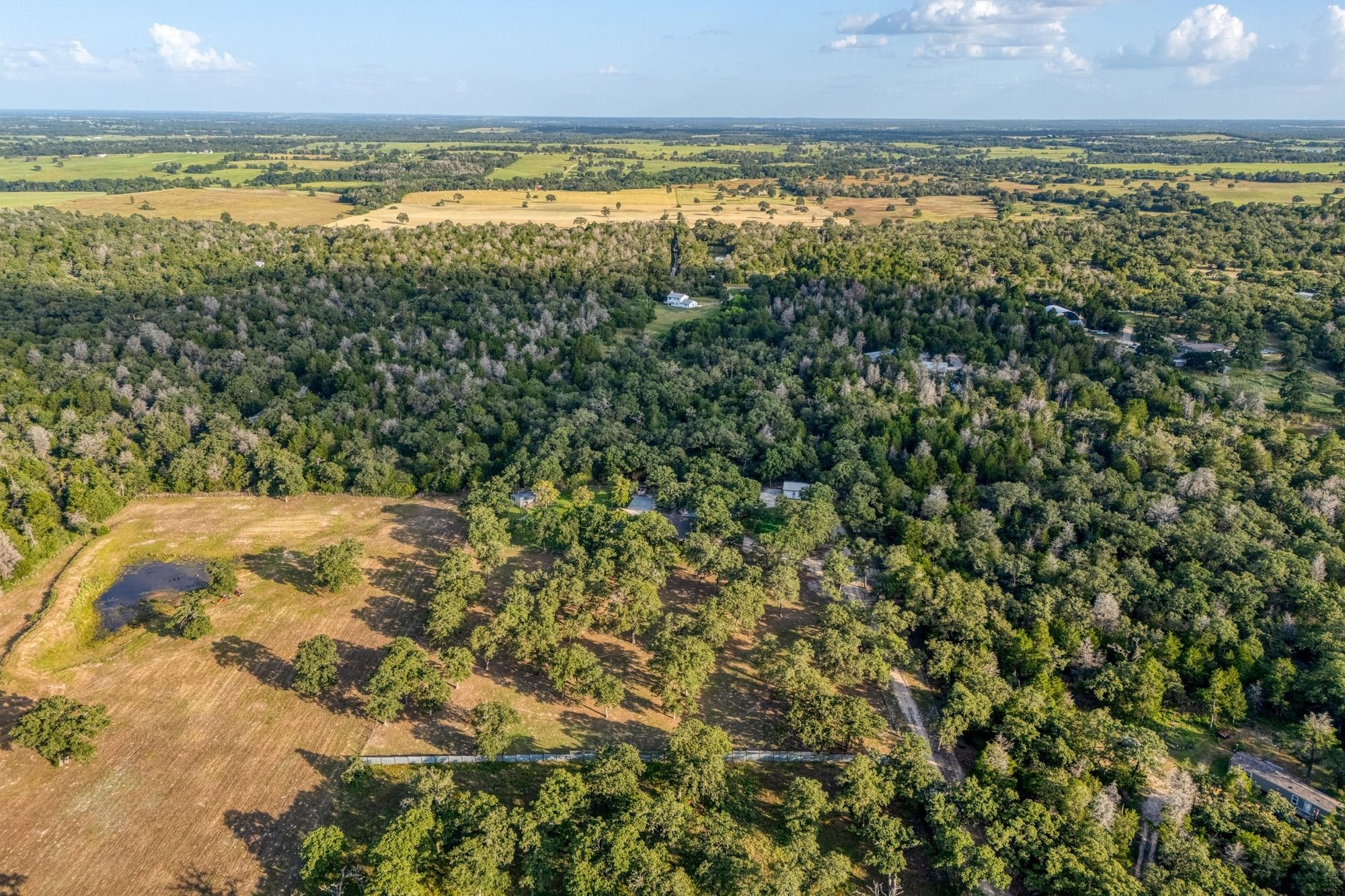 Special Purpose for sale at 1474 County Road B, Lexington, TX, 78947 — photo 3