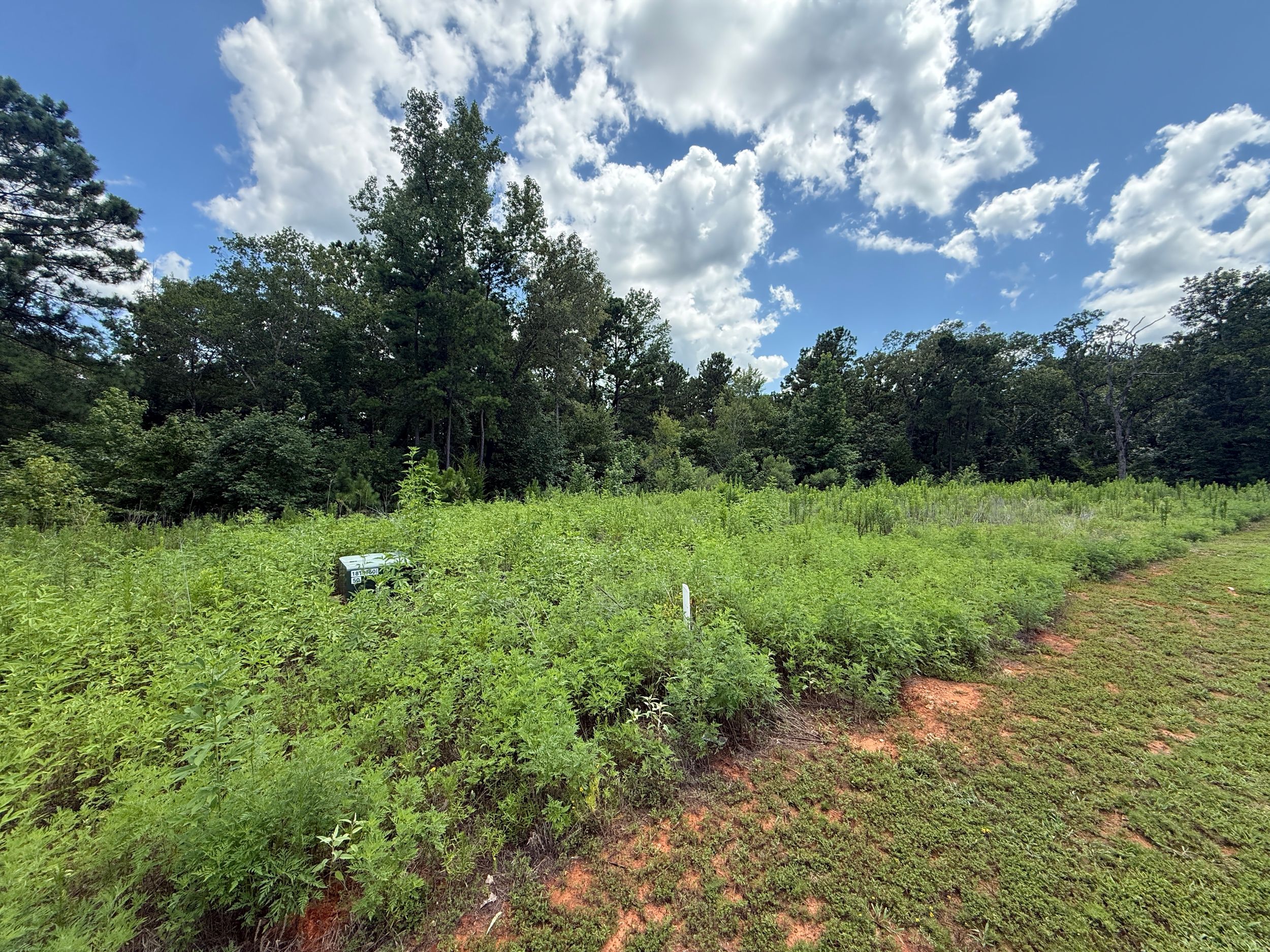1211 Centennial Trail Tyler, TX 75703