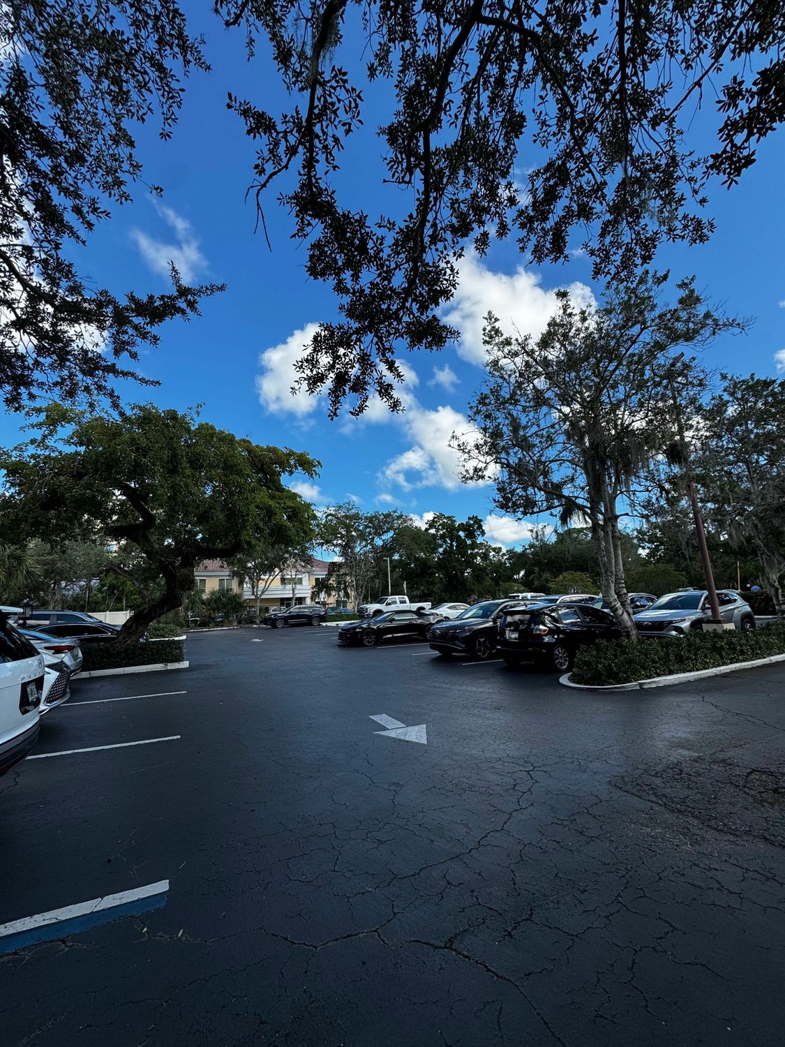 46 N Washington Blvd Ste 7 Sarasota FL 34236