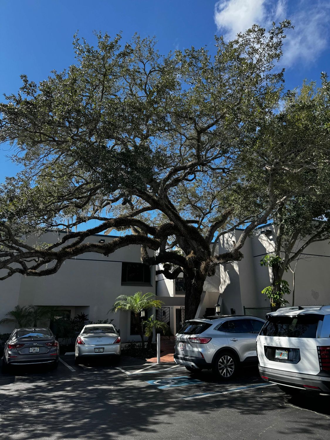 46 N Washington Blvd Ste 7 Sarasota FL 34236