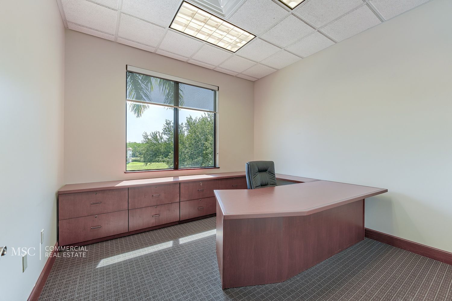12140 Carissa Commerce Court Fort Myers FL 33966