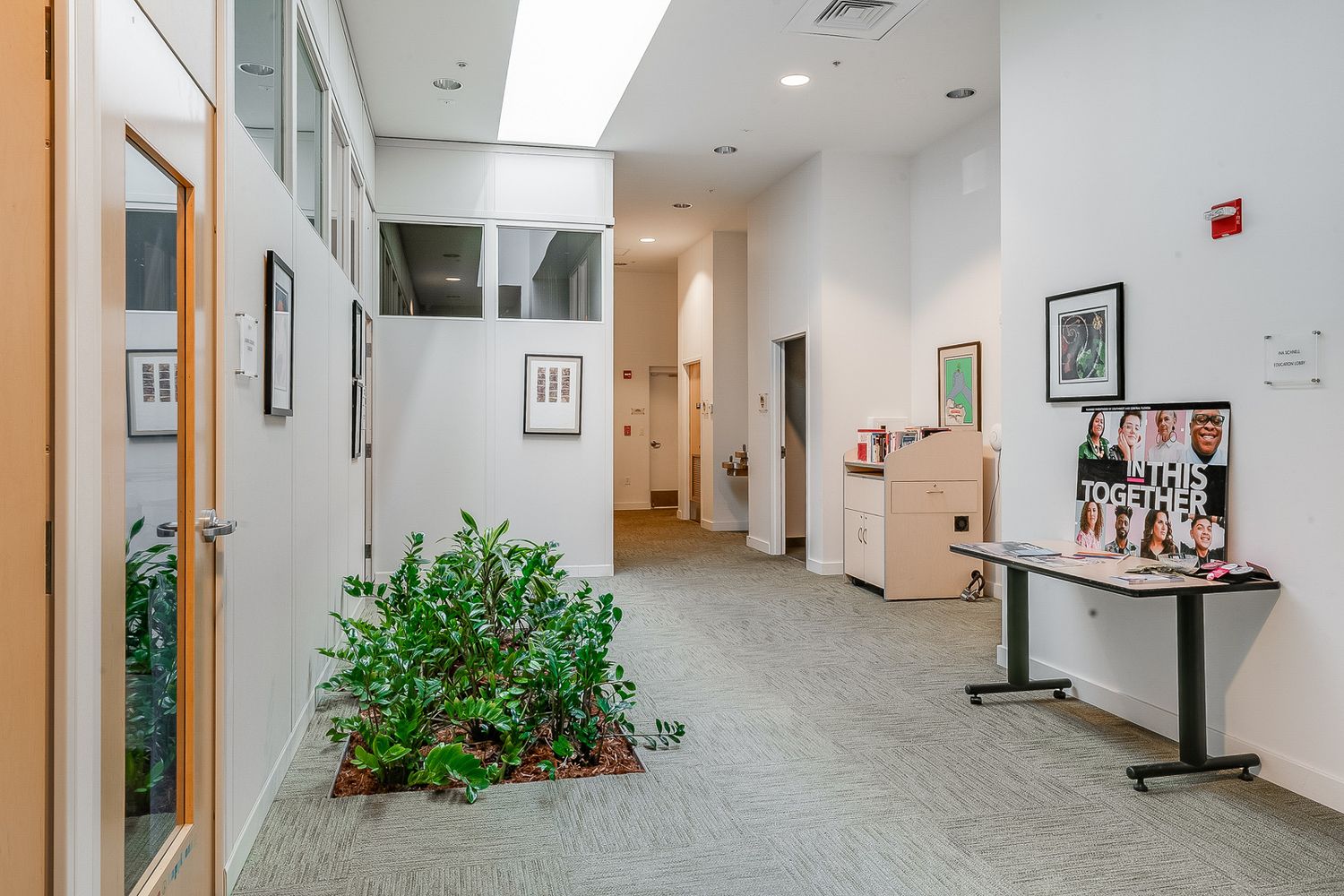 736 Central Avenue Sarasota FL 34236